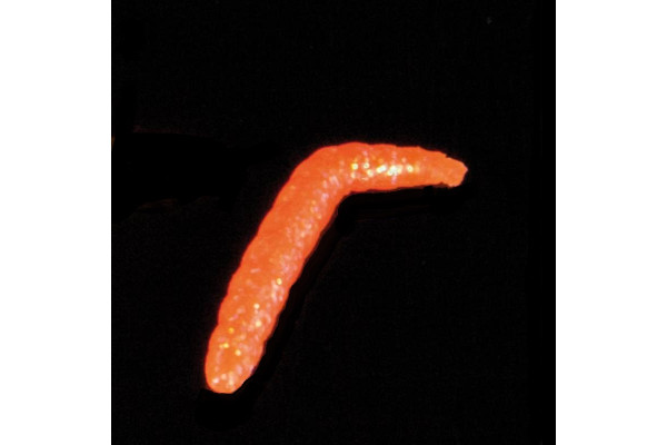 Iron Trout gumová nástraha Baco vzor OGL 4 cm 6 ks
