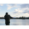 Delphin AERIS Feeder