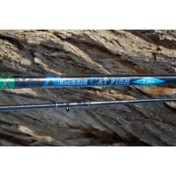 Sumcové pruty Nemesis Cat Fish 2,40m / 200-500g