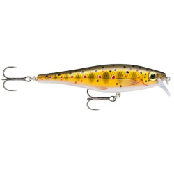 BX Minnow 07
