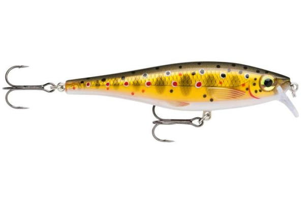 BX Minnow 07