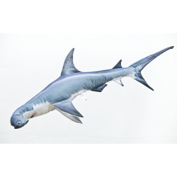 Žralok kladivoun - 120 cm polštář