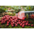 DK FISHING fermentovaný booster BOOOST-X jahoda 1 litr