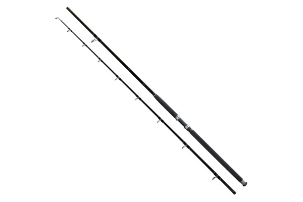 Giants fishing Prut Deluxe Catfish 2,7m 500g