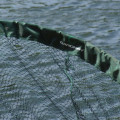 Gardner Podběráková hlava Specialist Pan Net