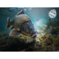 Nástraha D SNAX SHELL 12mm/30g