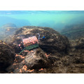 Krmítko s olověnou zátěží Delphin RiverSTIX