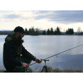 Delphin AERIS Feeder