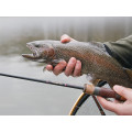 Delphin TROUTERA SoftLURE