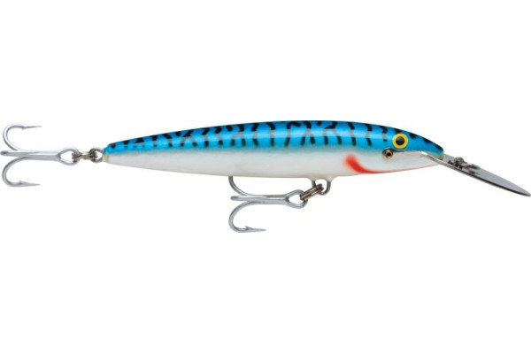 Magnum Sinking 22 CG