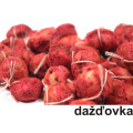 Rohlíkový boilies 12 mm / 30g