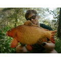 Plyšový kapr Delphin CARPY