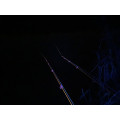 ANACONDA svítilna Vipex UV-blackflash 68