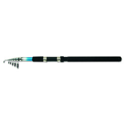 Active TeleCarp II 240
