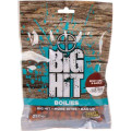 Boilies Crafty Catcher Big Hit 10mm / 250g