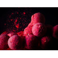 Boilies Rapid Starter 3500g Hot Spice 24mm
