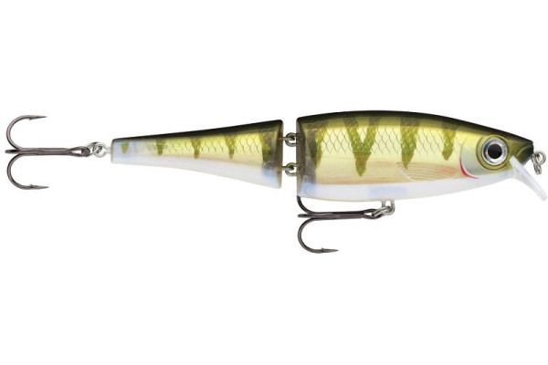 BX Swimmer 12