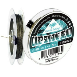 Giants fishing Carp Sinking Braid 20m