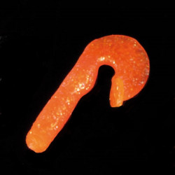 Iron Trout gumová nástraha Tremito vzor OGL 4,5 cm 4 ks