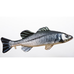 Sea Bass (Mořský vlk) - 70 cm polštářek