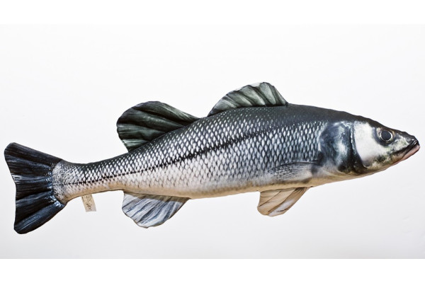 Sea Bass (Mořský vlk) - 70 cm polštářek