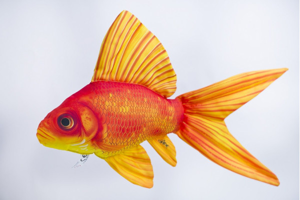 Zlatá rybka  - 50 cm polštářek