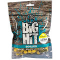 Boilies Crafty Catcher Big Hit 10mm / 250g