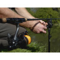 Delphin BINGO 6T DP
