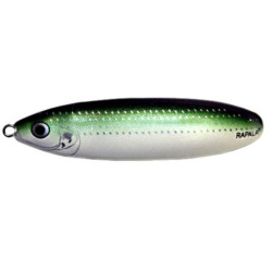 Minnow Spoon 08