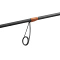 Delphin CORX Spin Medium