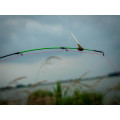 Giants fishing Držák chemického světla Tip Rod Connector SML 5ks
