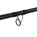Delphin DUNAY Carp