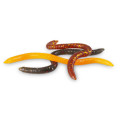 Iron Claw nástraha Drop Stuff Crawler 7,5 cm vzor WM 22 ks