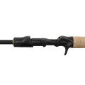 Delphin Zandera B-CAST