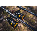 Giants fishing Kaprový prut Gaube XP330 12ft 3,50lb 2-díl