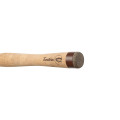 Delphin TROUTERA SoftLURE