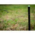 Giants fishing Tyče Distance Spin Bank Stick Set