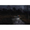 LED nabíjecí čelovka GP Discovery CHR35, 600 lm