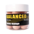 Carp Inferno Balanced Boilie 150 ml Losos/Mango