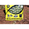 Boilies Rapid Easy - Mango (950g | 20mm)